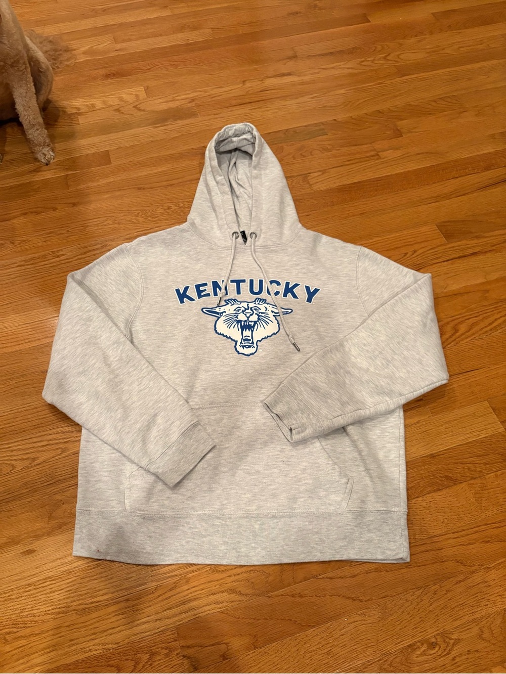 Kentucky Grey Pullover Hoodie with Blue Graphic